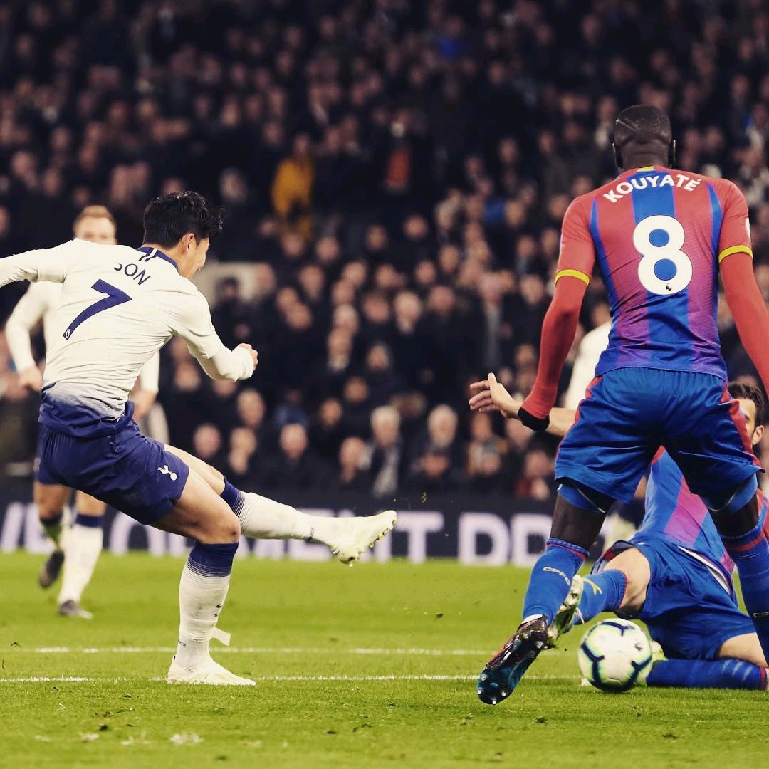 已经有很多 已经有很多